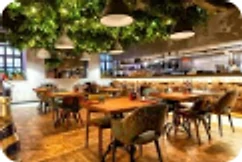 Hibiscus cafe interior